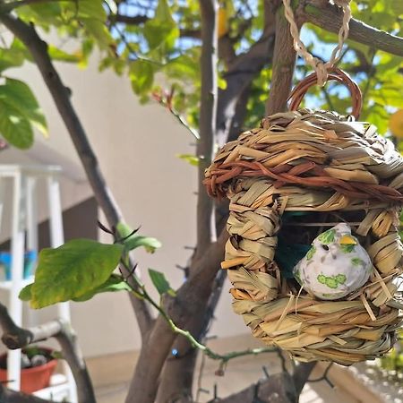 Ferienwohnung La Pigna Dell'Etna Nicolosi Exterior foto