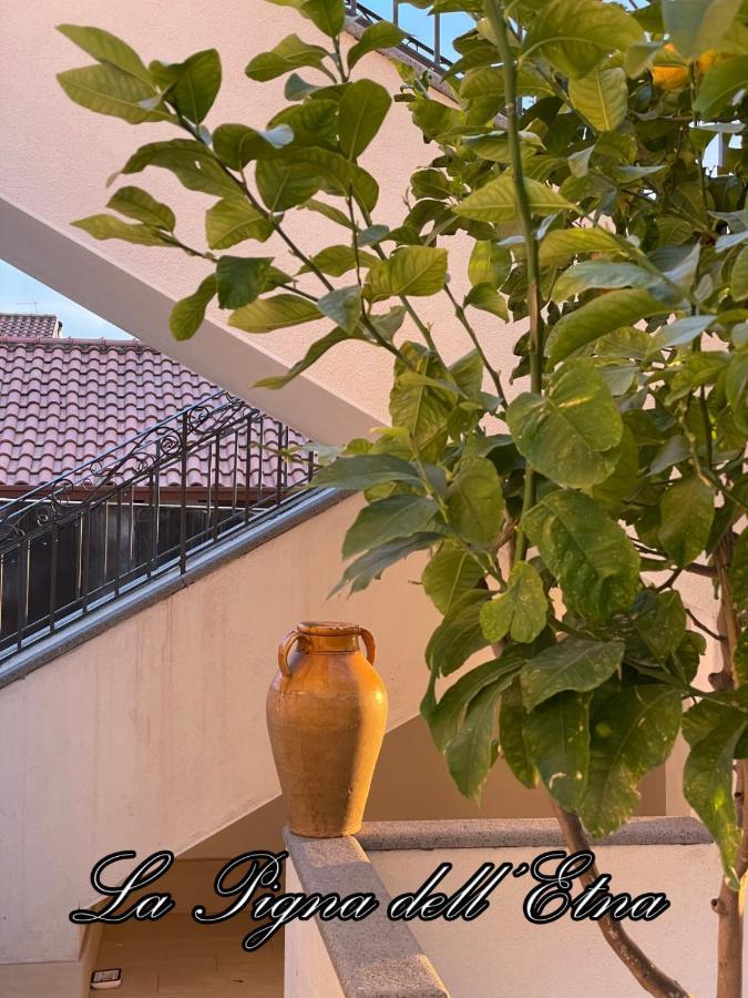 Ferienwohnung La Pigna Dell'Etna Nicolosi Exterior foto