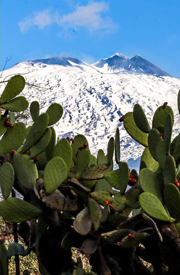Ferienwohnung La Pigna Dell'Etna Nicolosi Exterior foto